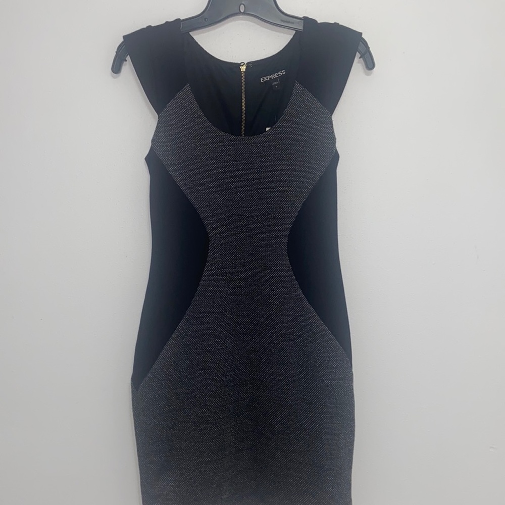 NWT Express Women's fitted dress